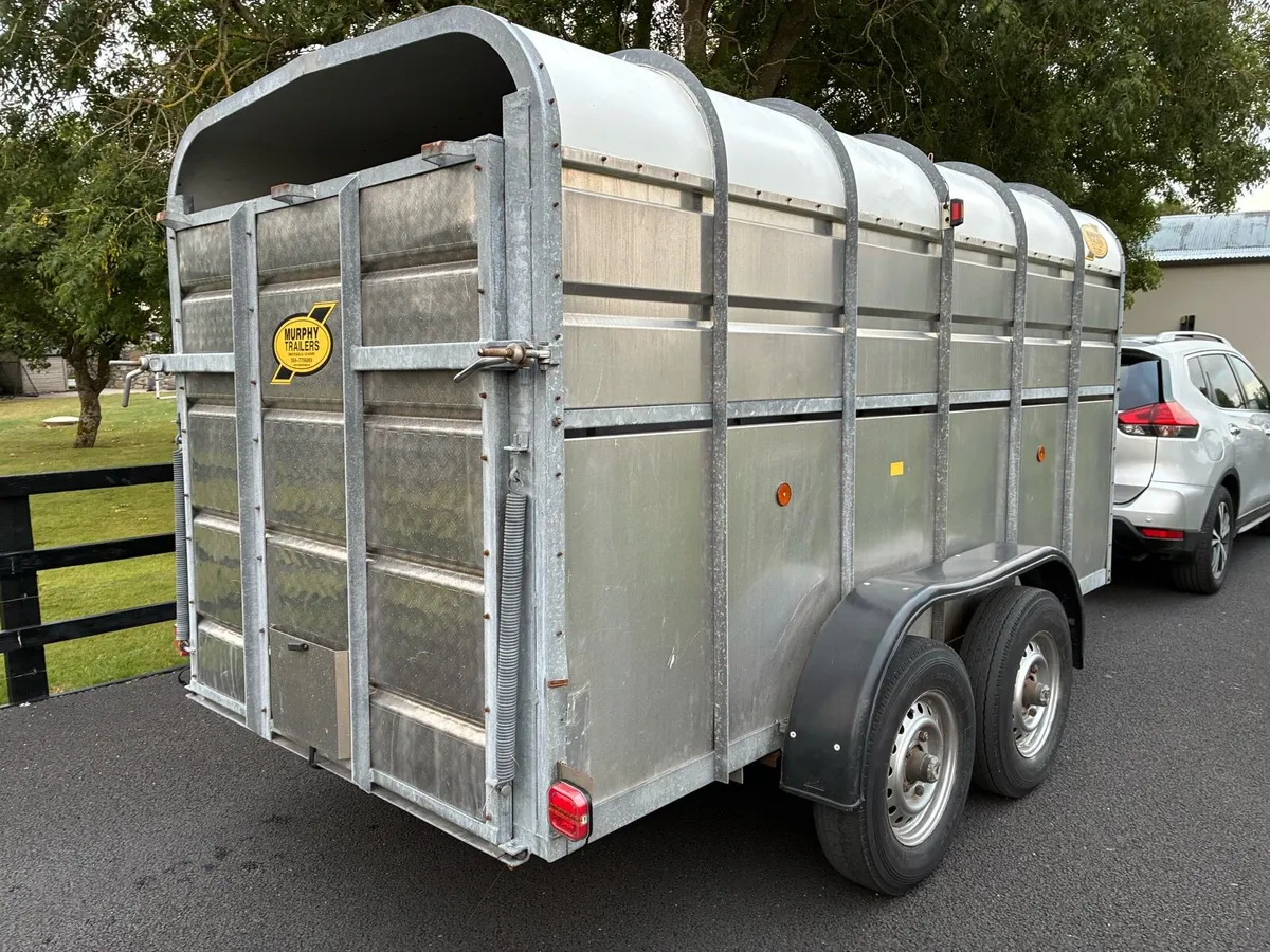 12 X 6 Murphy Cattle Trailer - Image 3