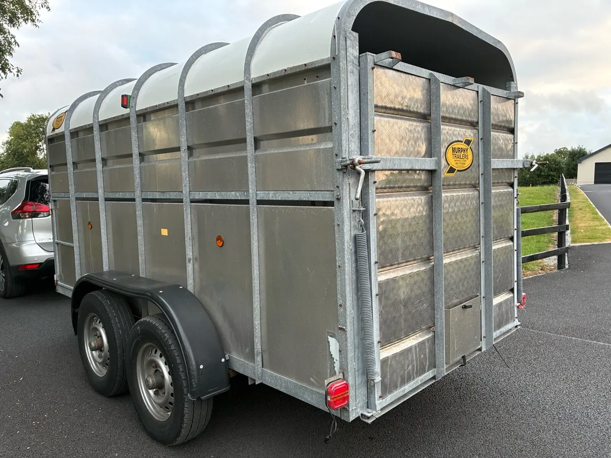 12 X 6 Murphy Cattle Trailer - Image 4