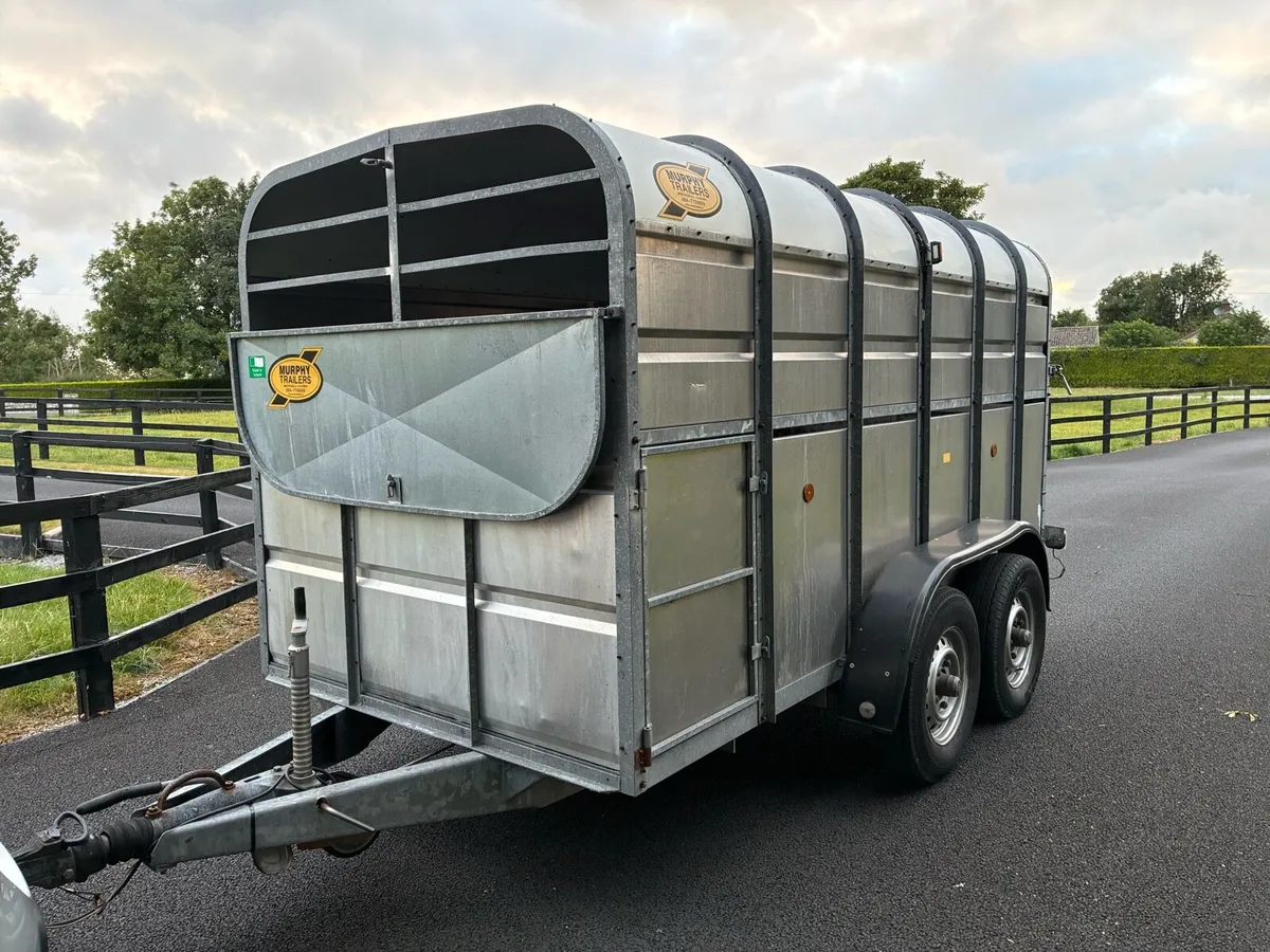 12 X 6 Murphy Cattle Trailer - Image 1