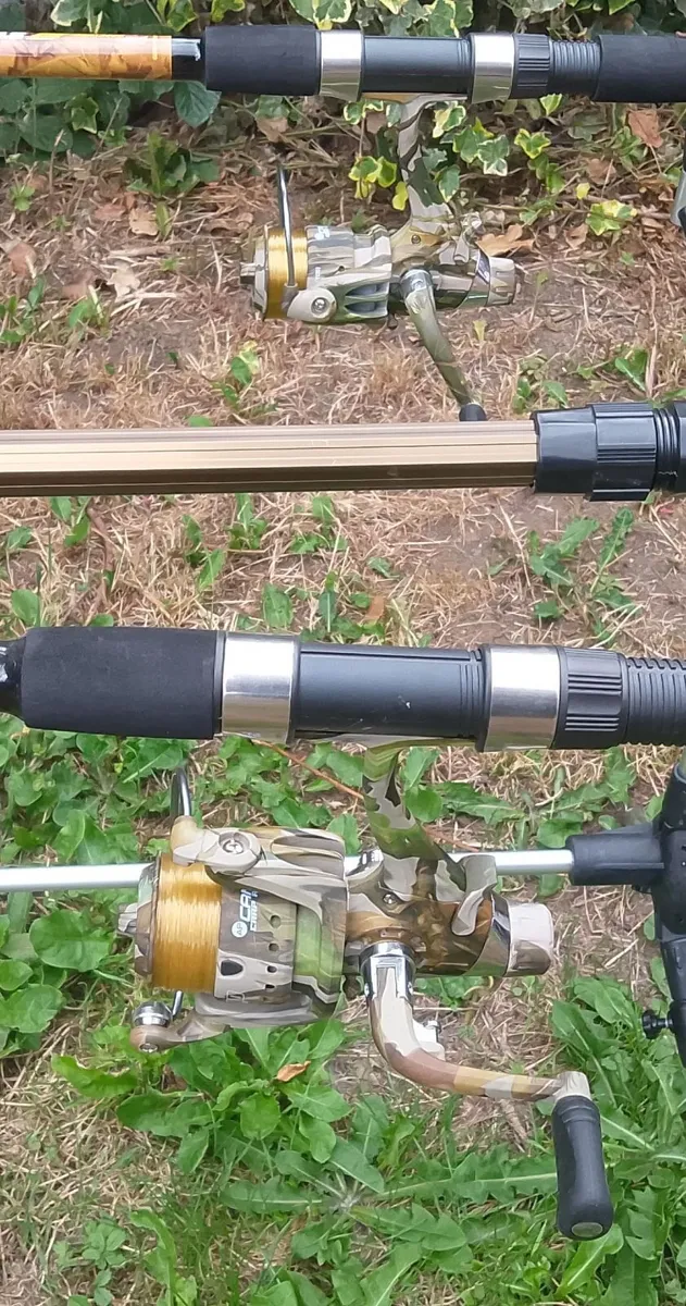 Complete fishing kit Carp/pike/tench/bream 10ft3m - Image 3