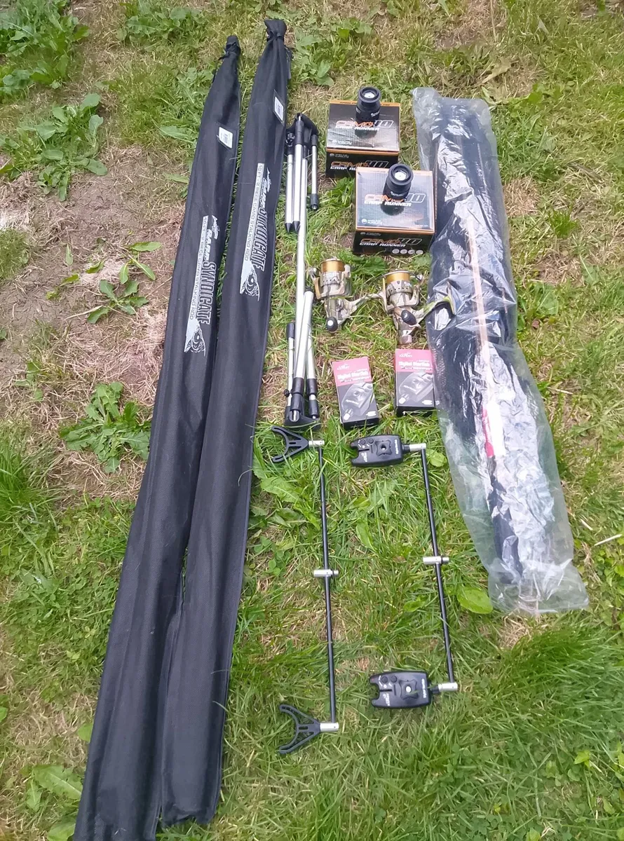 Complete fishing kit Carp/pike/tench/bream 10ft3m - Image 4
