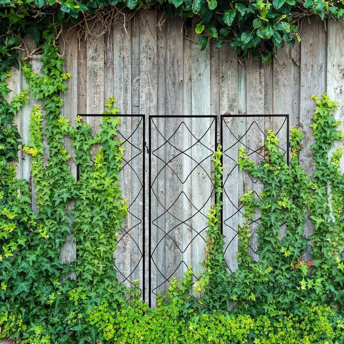 3x Garden Trellises for Plugging Creeper Climbing - Image 2