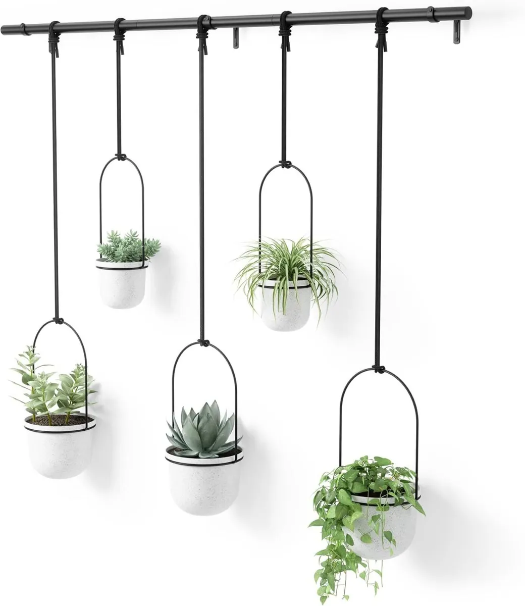 Hanging Planter for Window (Set of 5) - Image 1