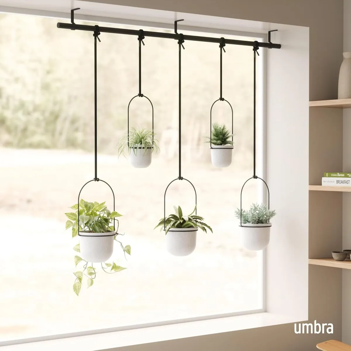 Hanging Planter for Window (Set of 5) - Image 2