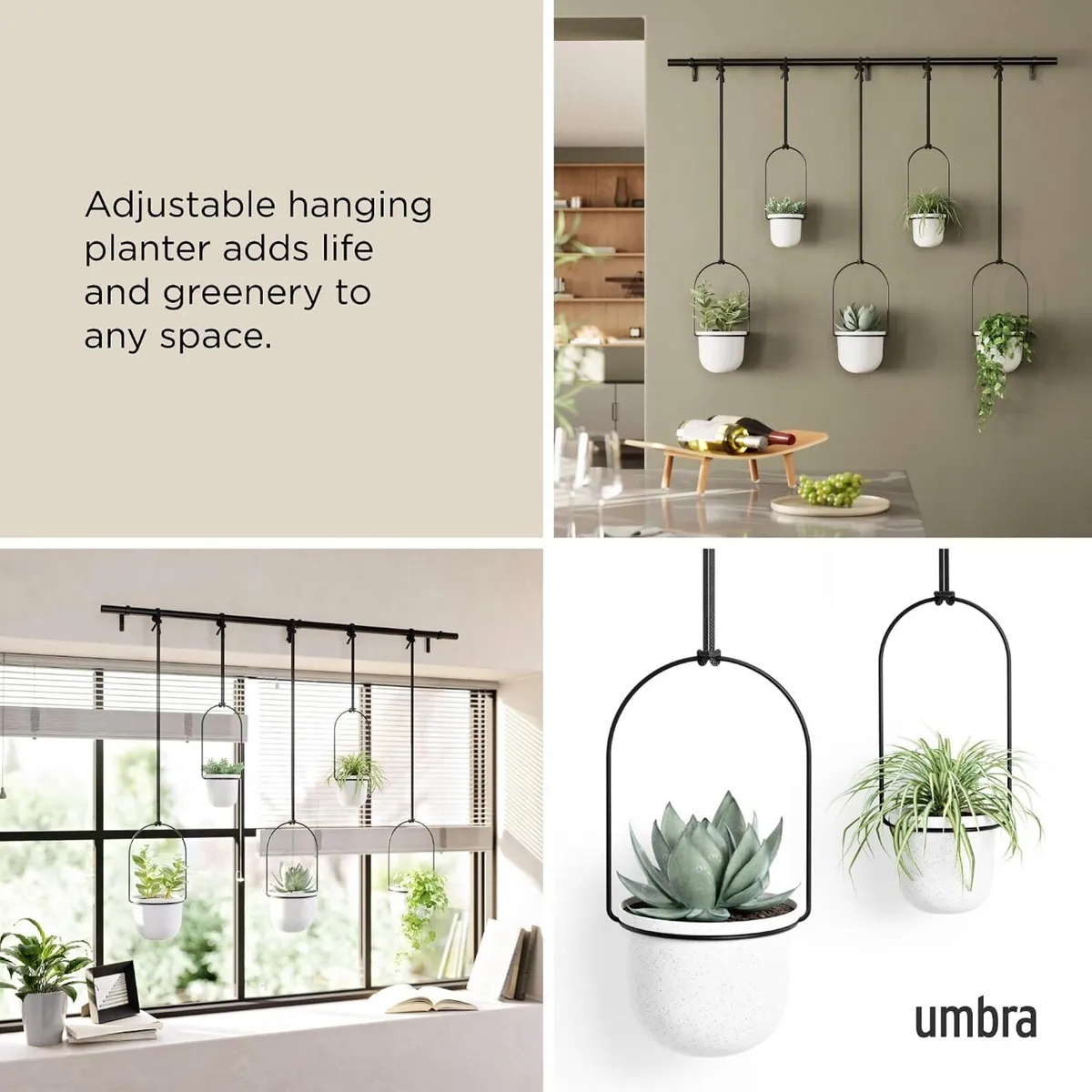 Hanging Planter for Window (Set of 5) - Image 4