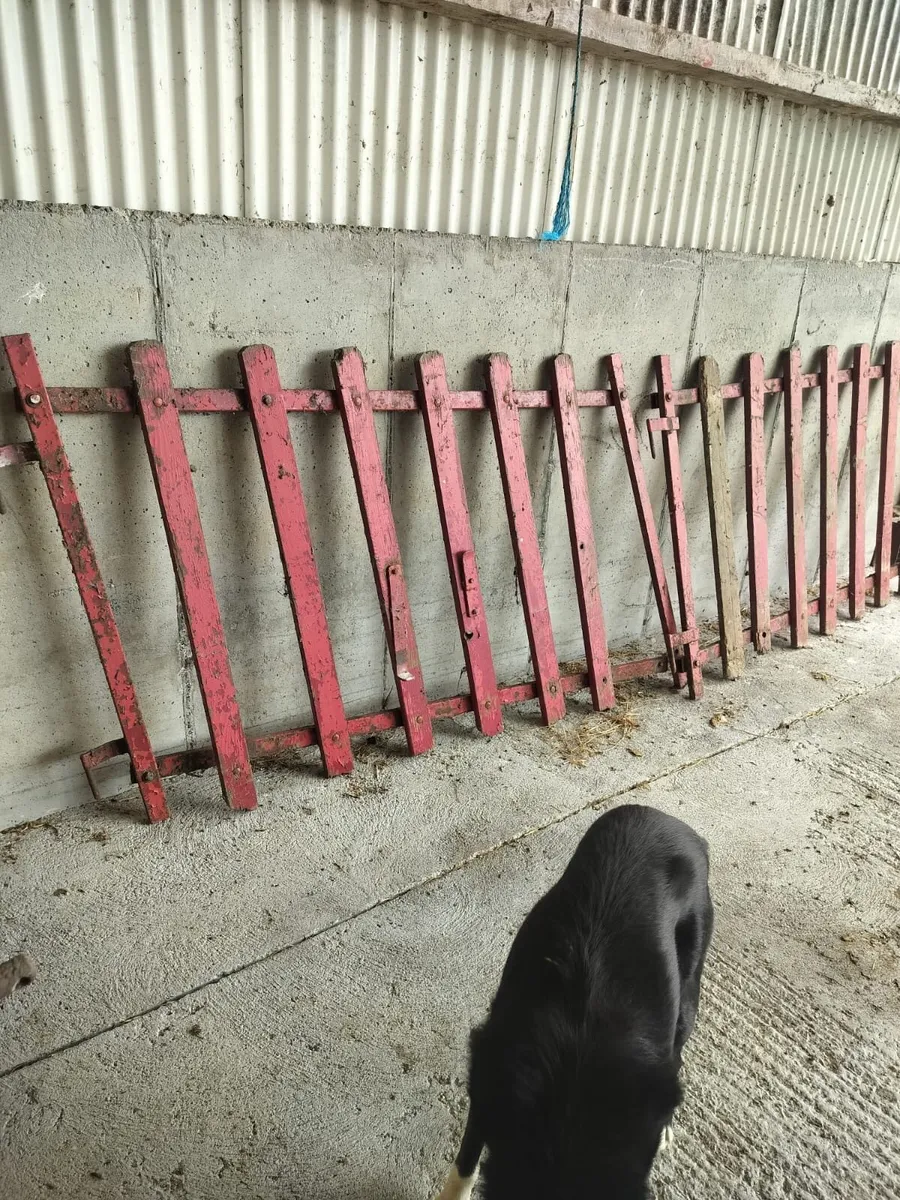 Arch trailer ramp/corn roller/cement mixer - Image 1