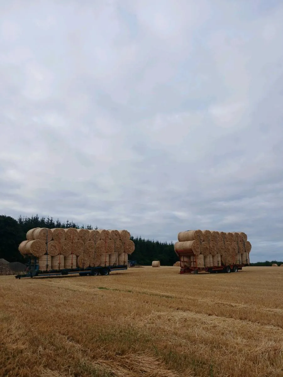 Barley 4x4 8x4x3 - Image 2