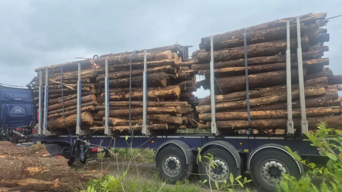 Firewood