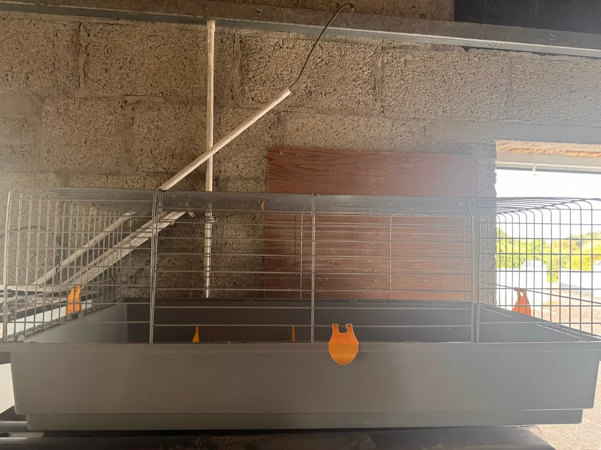 Rabbit Cage for sale - Image 2