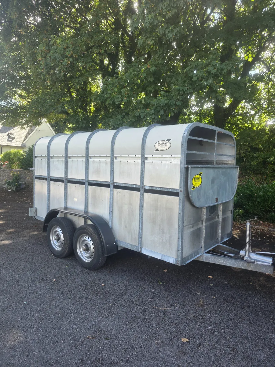 12ft murphy cattle trailer - Image 1