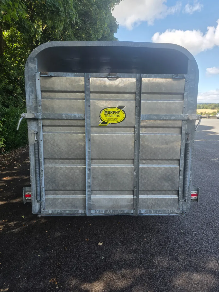 12ft murphy cattle trailer - Image 3