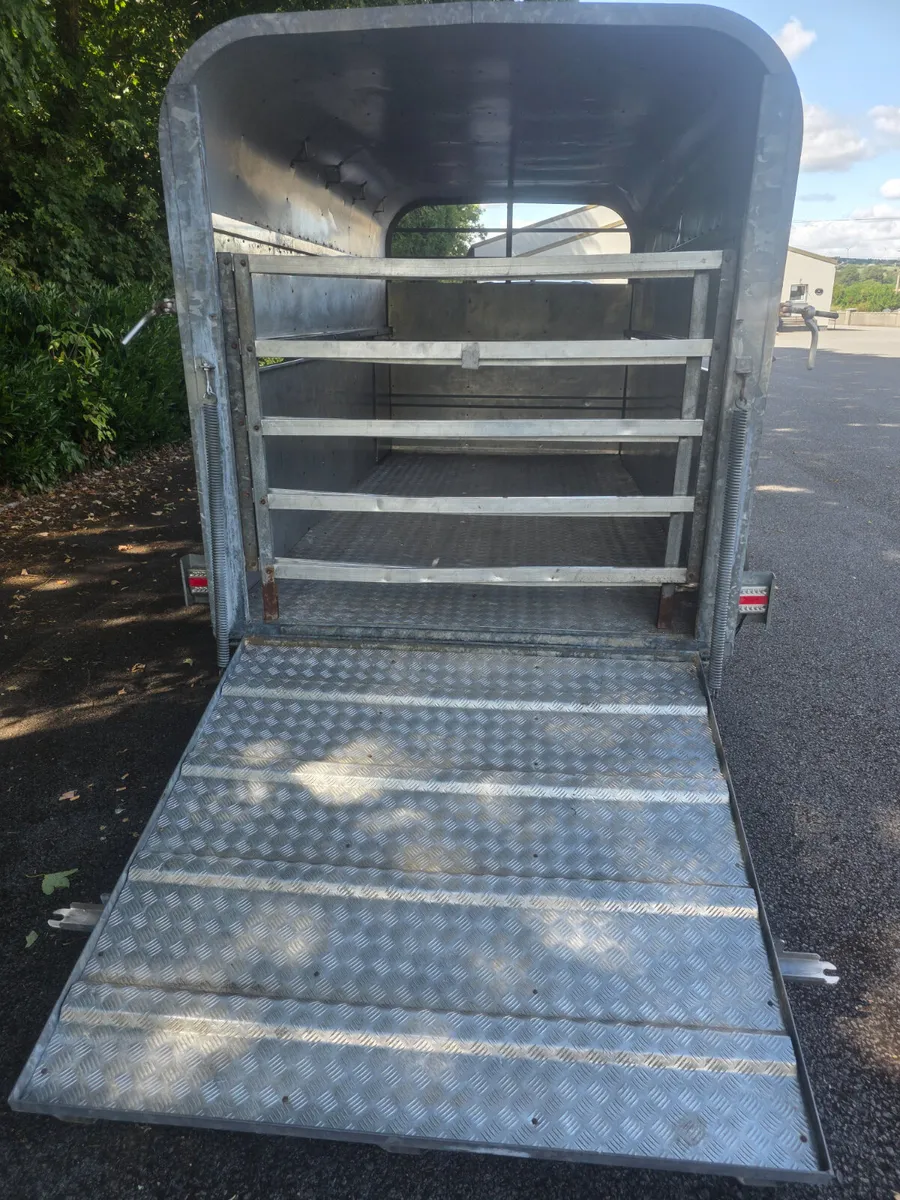 12ft murphy cattle trailer - Image 4