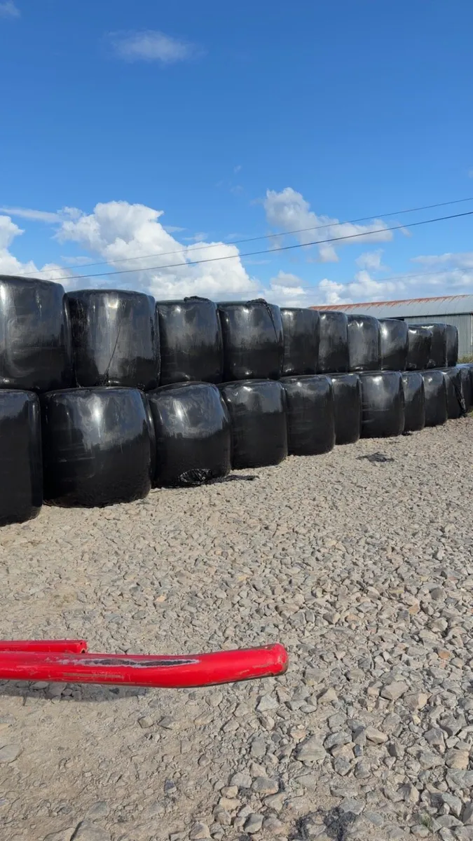 Silage bales - Image 1