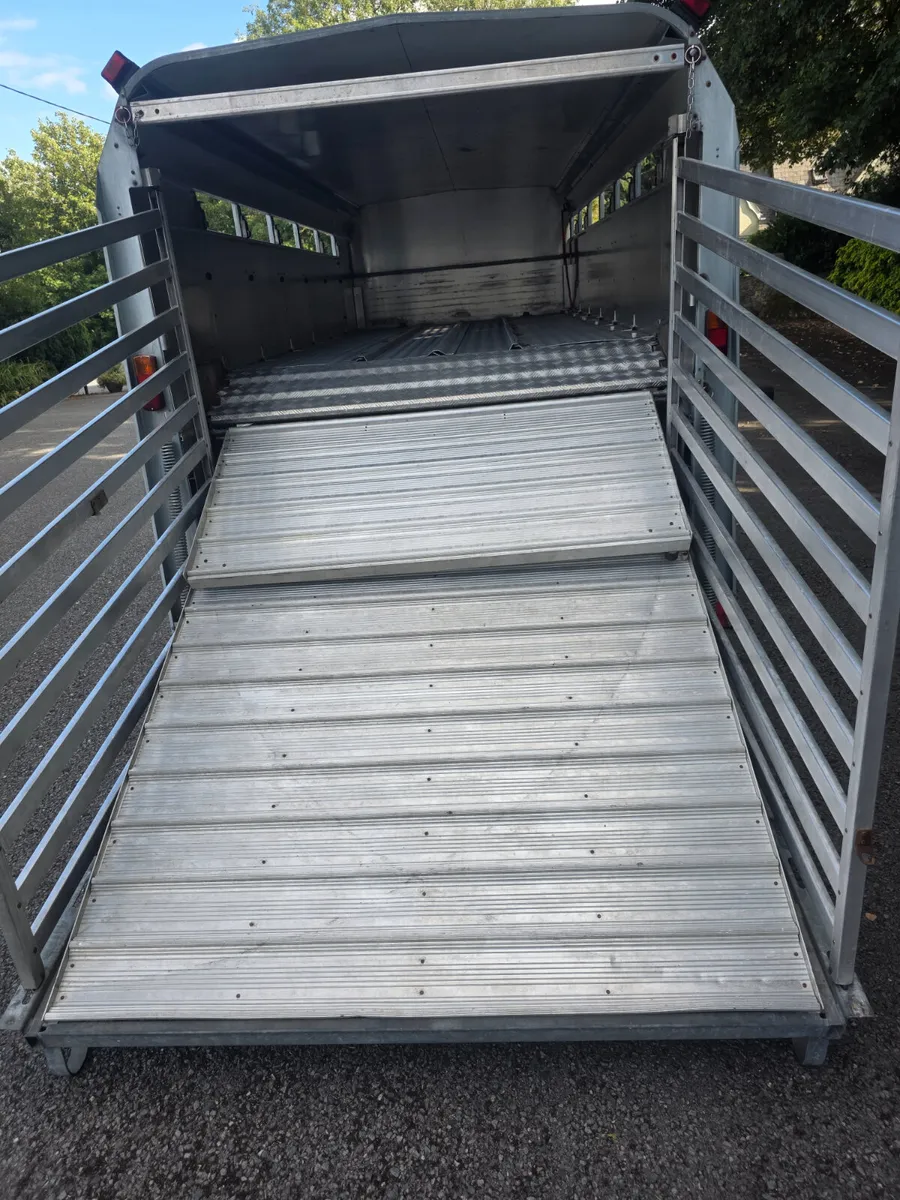 As new 14ft iforwilliams with sheep decks - Image 3
