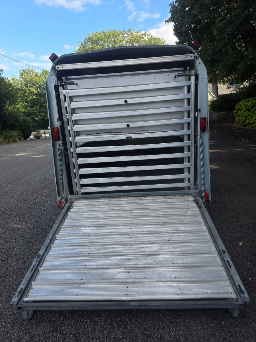 As new 14ft iforwilliams with sheep decks - Image 4