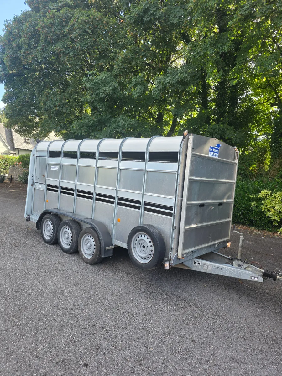 As new 14ft iforwilliams with sheep decks - Image 1