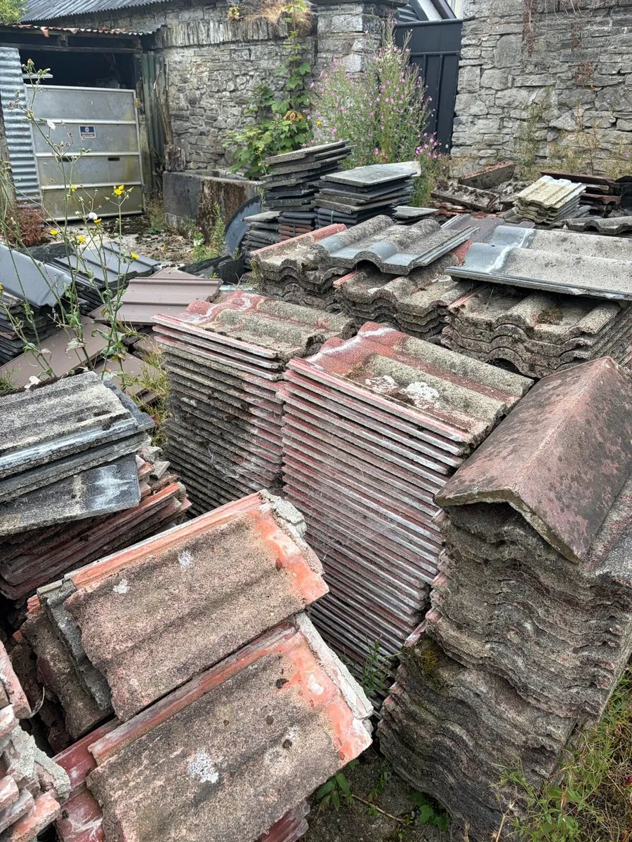 Big variety of roof tiles - Image 2
