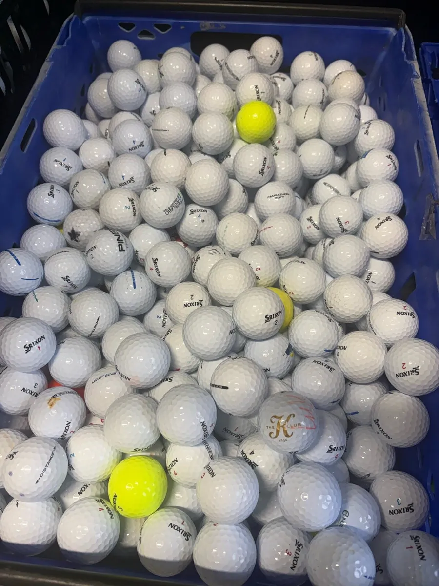 50 Srixon Golf Balls - Image 1