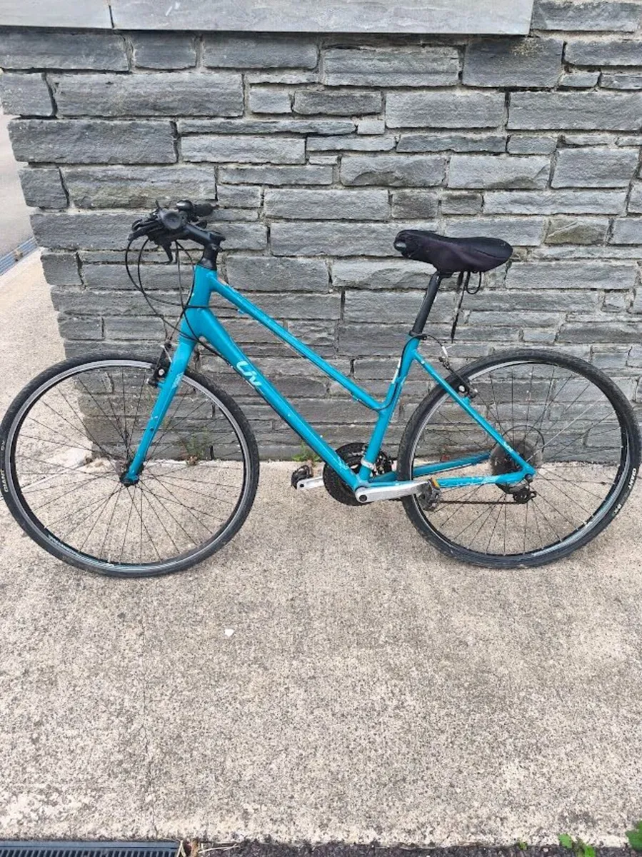 Female Adult Bike - Giant - Liv 3