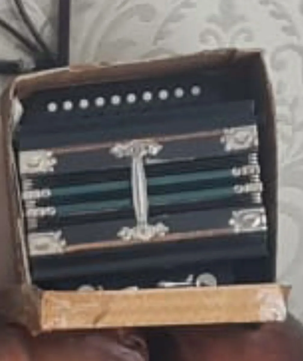 Vintage Accordion - Image 1