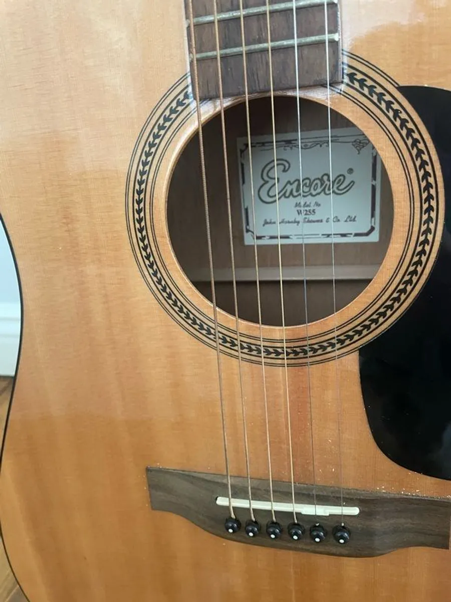 Encore W255 Full-Size Acoustic Guitar + Padded Gig Bag (Mint Condition) - Image 3