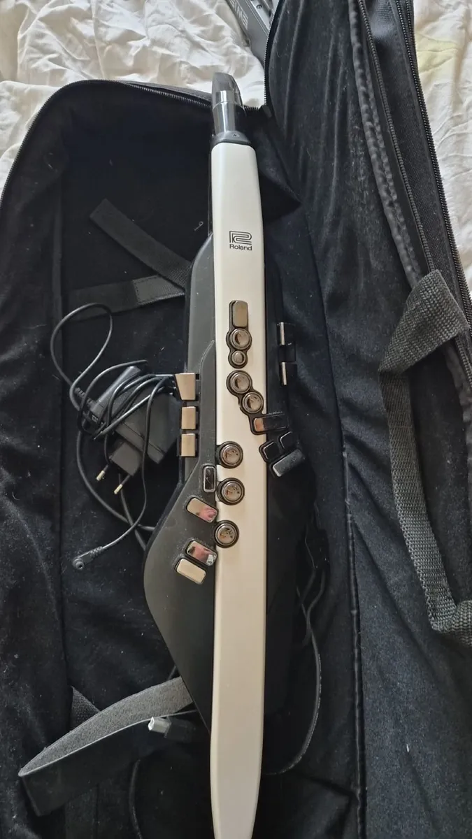 Roland Aerophone AE20 - Image 1