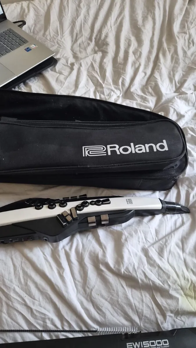 Roland Aerophone AE20 - Image 2