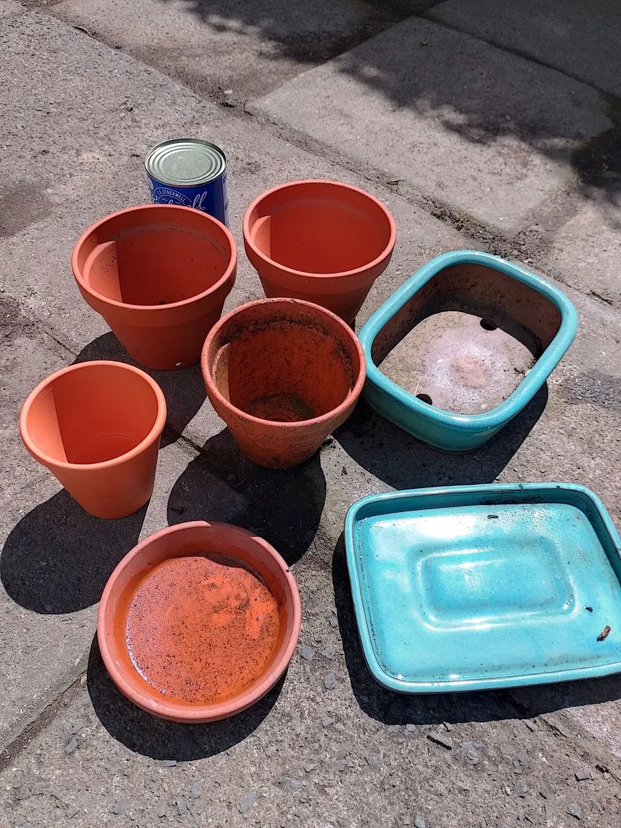 TERRACOTTA SMALL GARDEN POTS,BASE,& TROUGHS. - Image 1