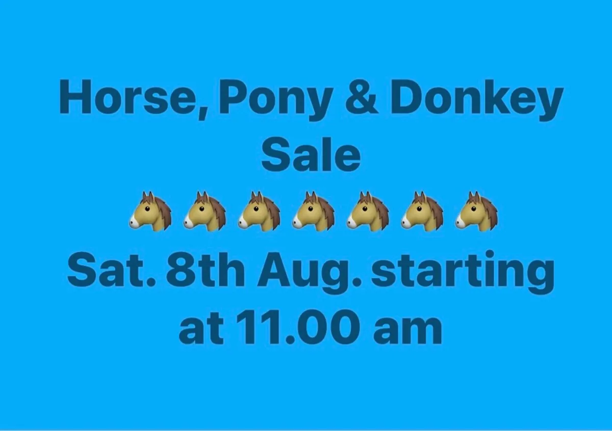 SPECIAL HORSE SALE Saturday, 8th August