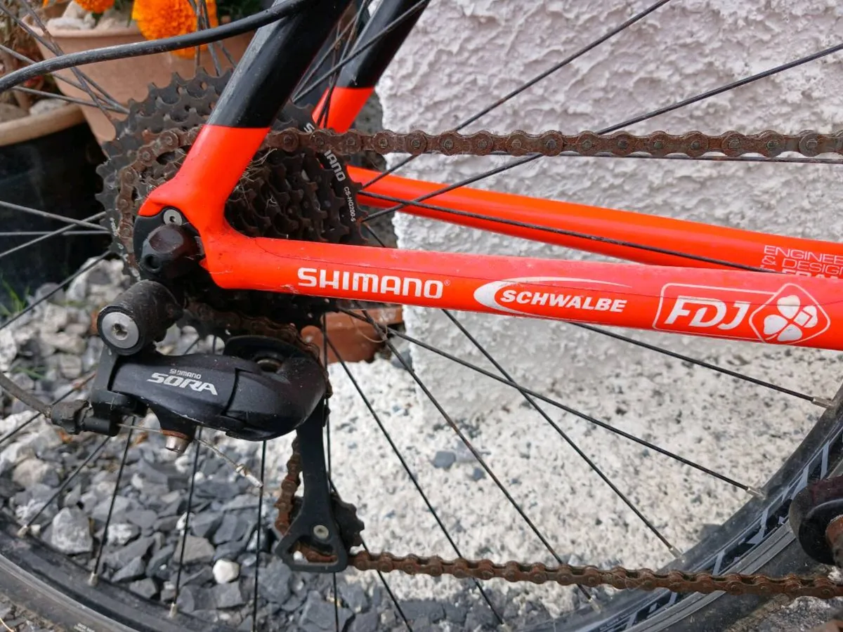 Bicycle - Image 2