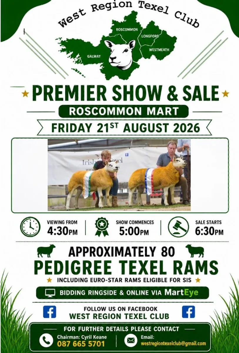 West Region Texel Club Premier Show & Sale - Image 1