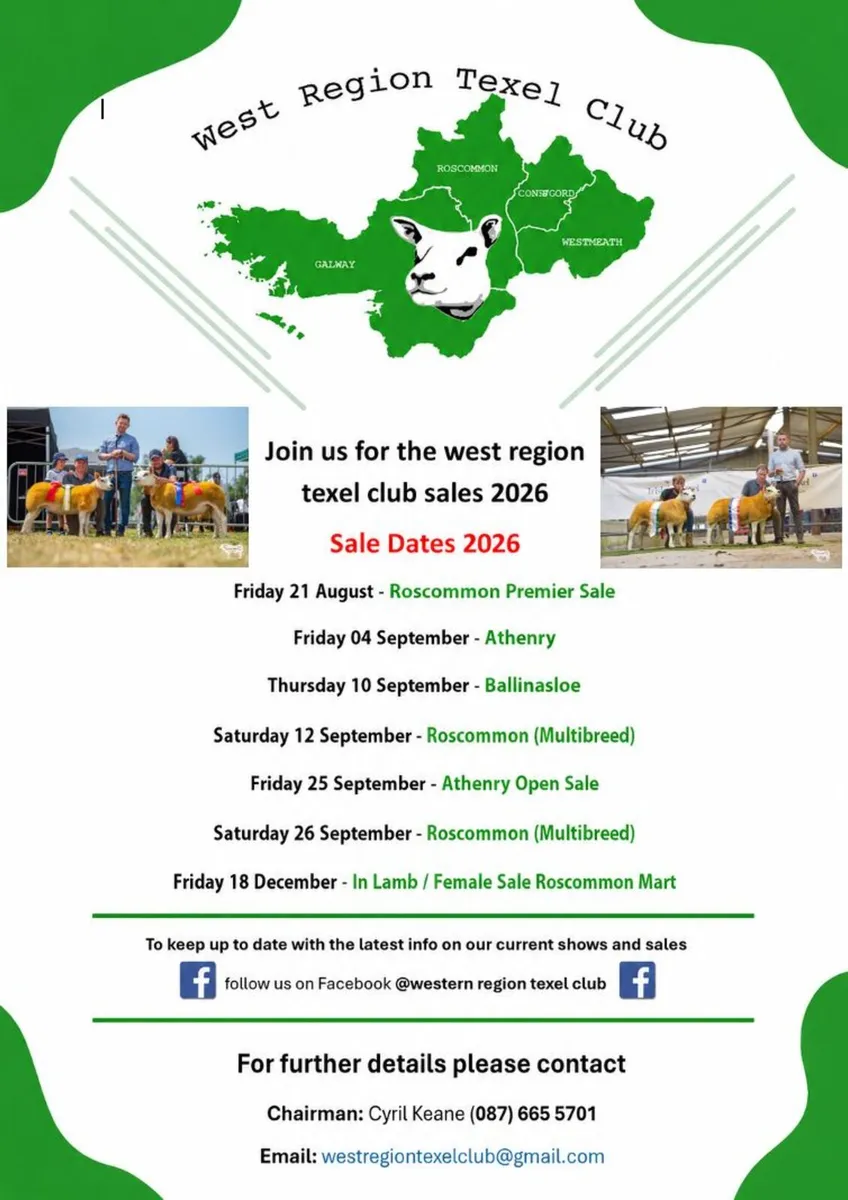 West Region Texel Club Premier Show & Sale - Image 2
