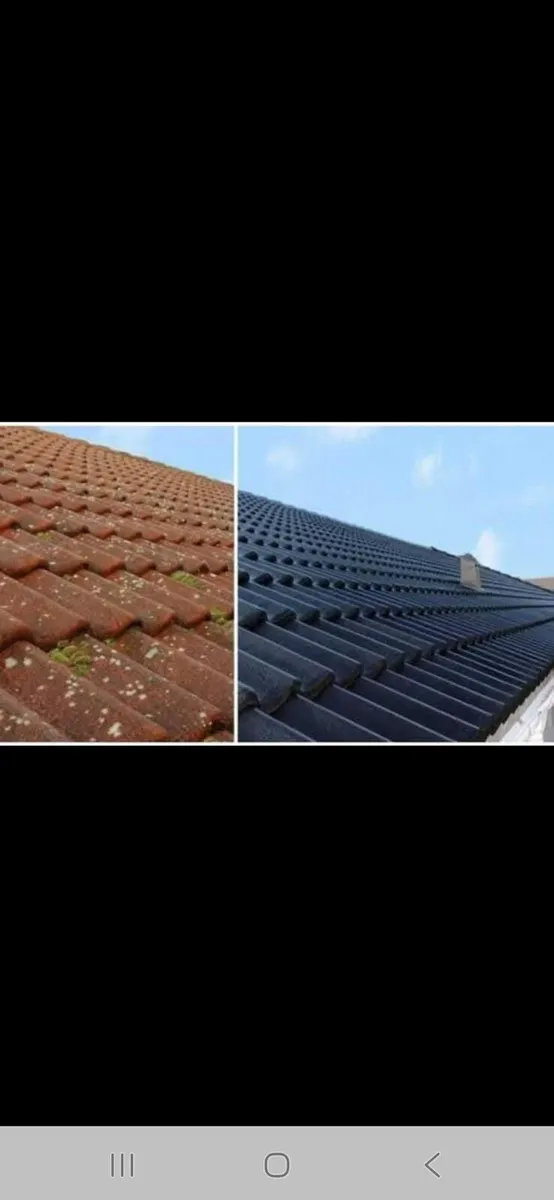 Driveway  and roof paints - Image 2