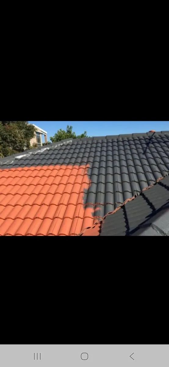 Driveway  and roof paints - Image 3