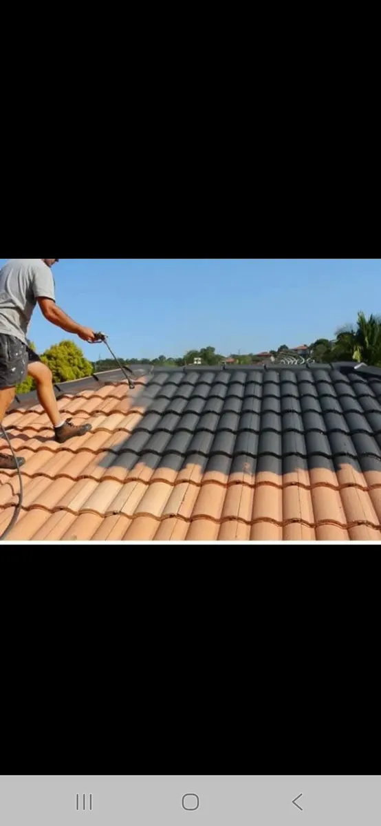 Driveway  and roof paints - Image 1