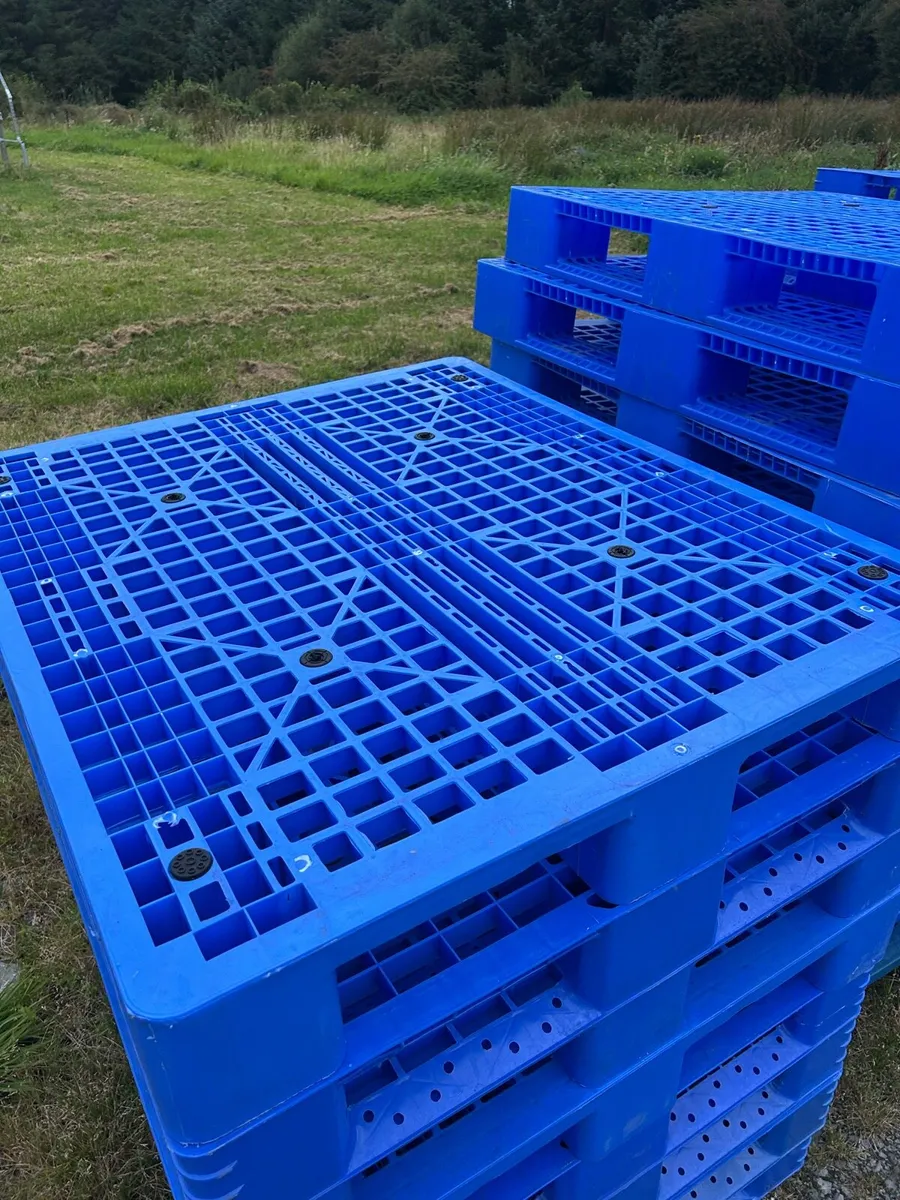 Plastic pallets - Image 1