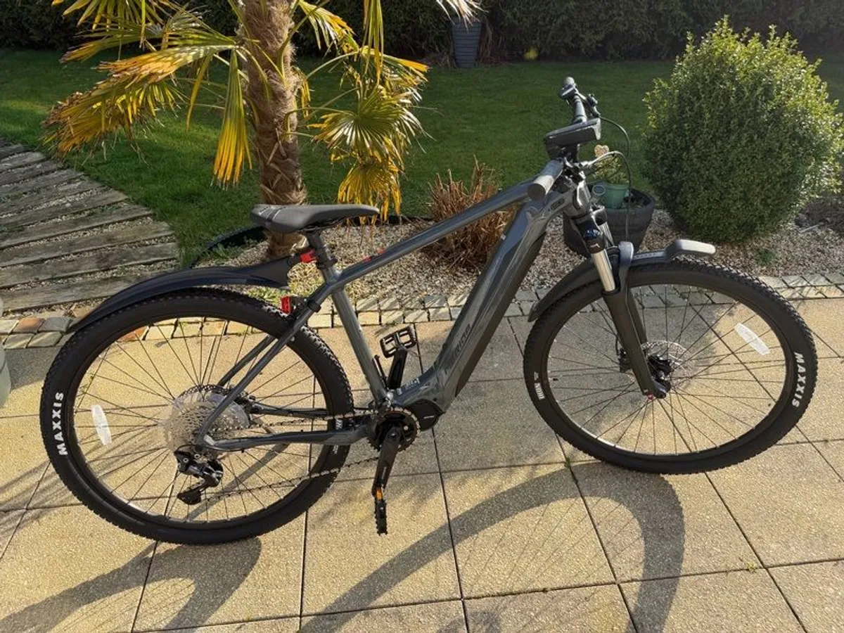 ebike - Image 2