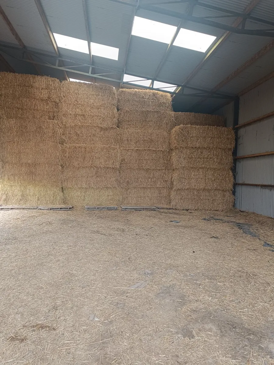 8x4x3 Bales - Barley and Wheaten Straw - Image 2