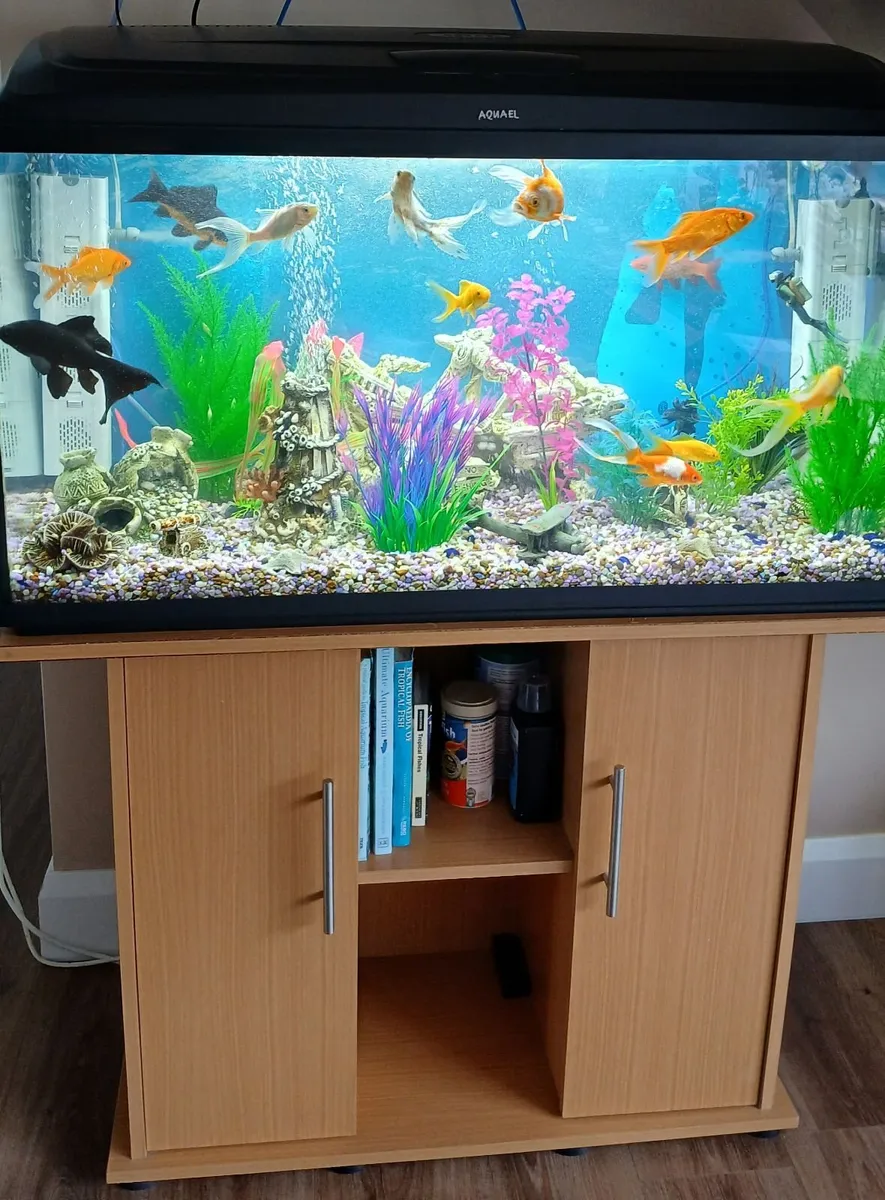 Fish Tank - Image 1