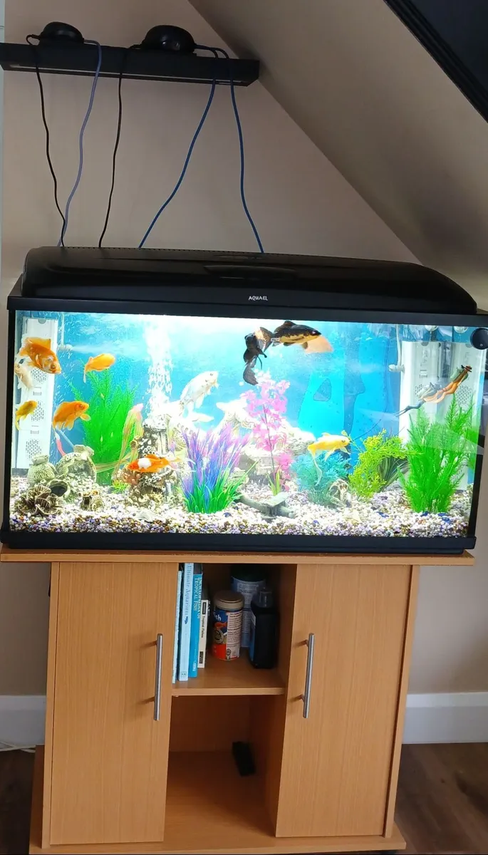 Fish Tank - Image 2