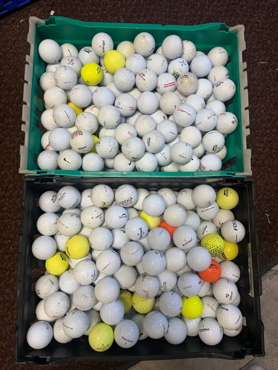 100 Golf Balls - Image 1