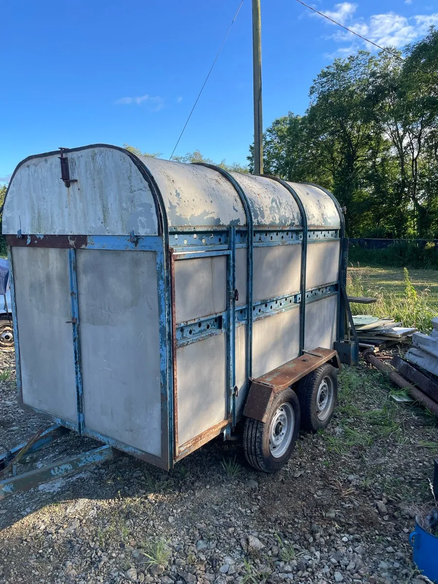 8x5 cattle trailer - Image 1