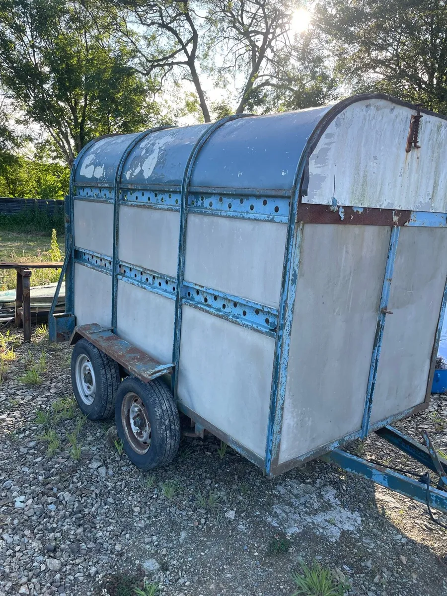 8x5 cattle trailer - Image 2