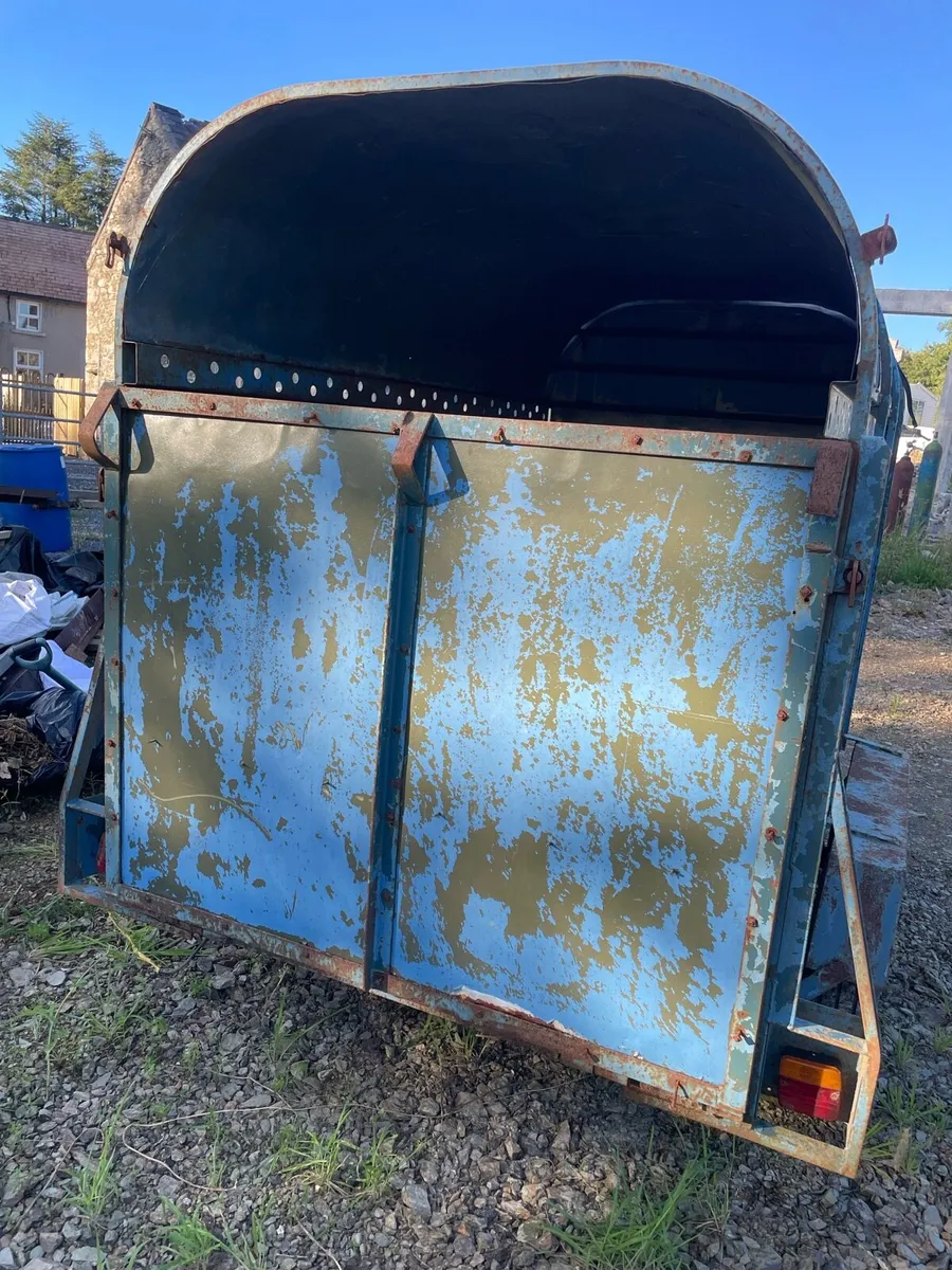 8x5 cattle trailer - Image 4