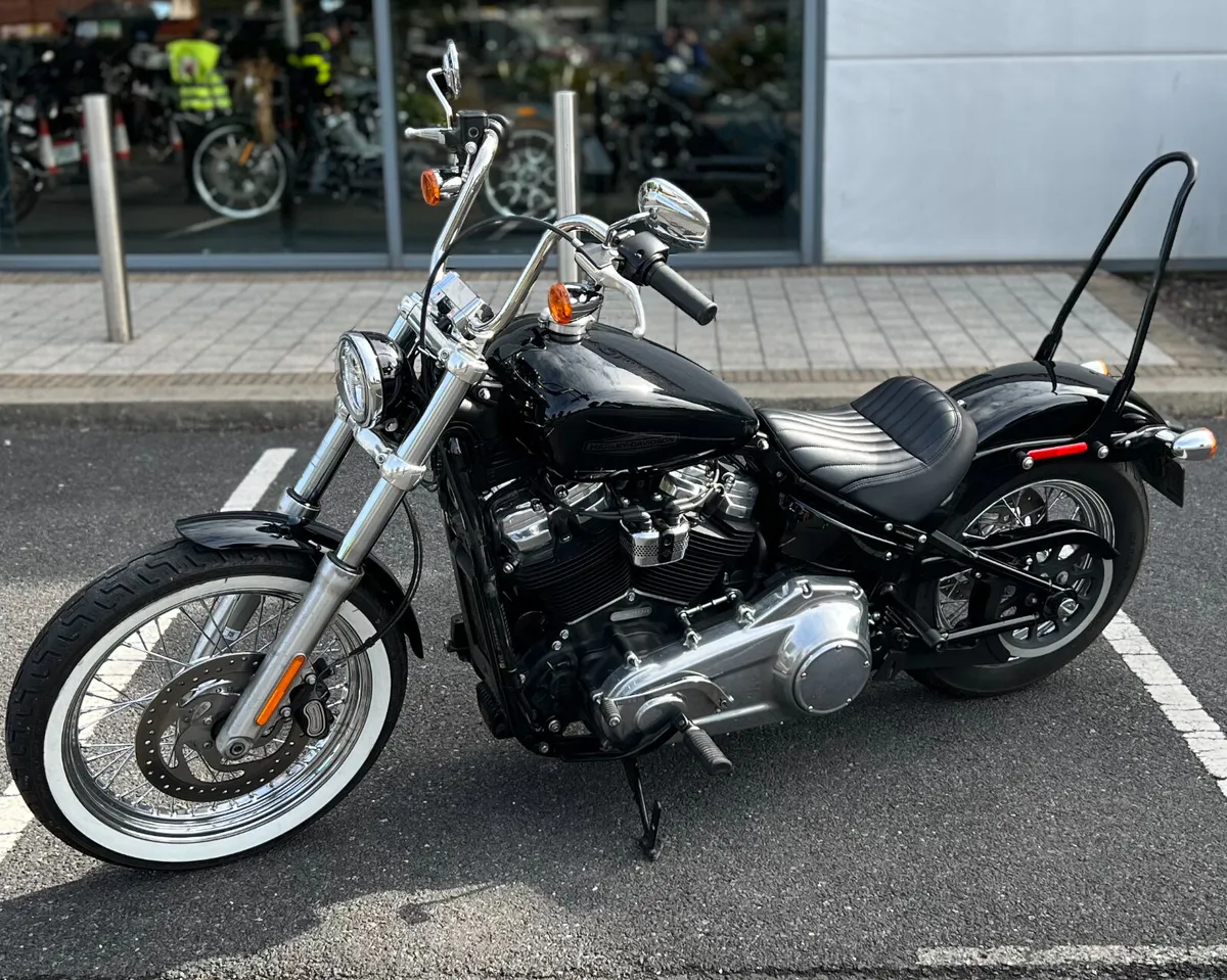 HARLEY-DAVIDSON SOFTAIL STANDARD - Image 3