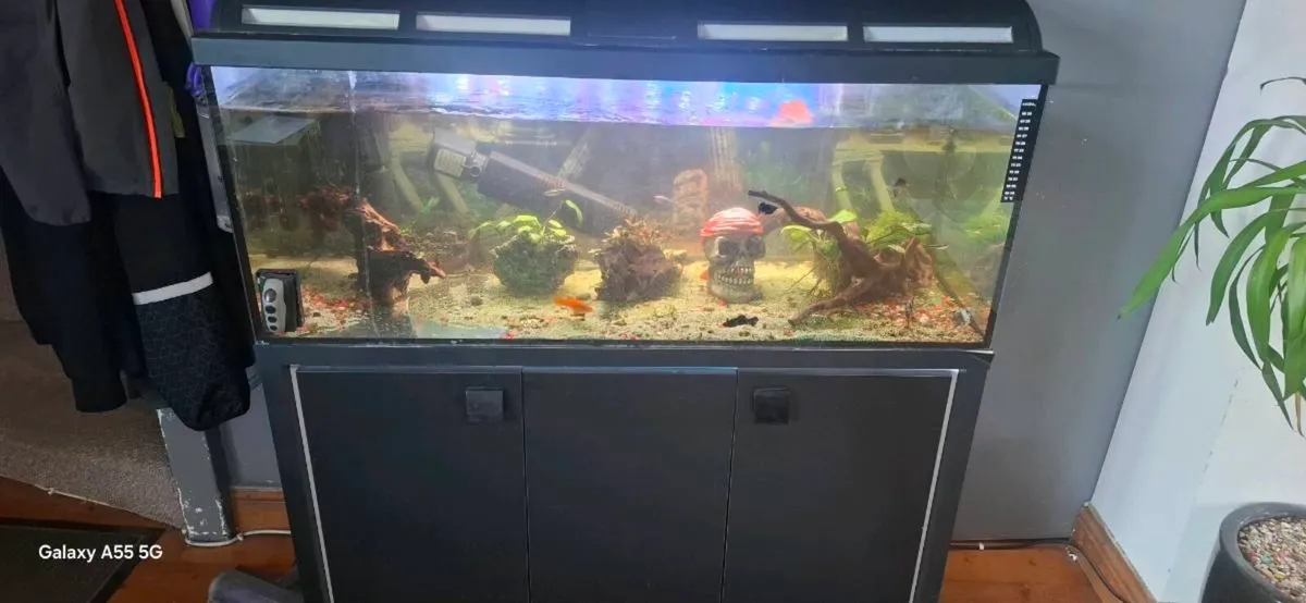 Aquarium - Image 1