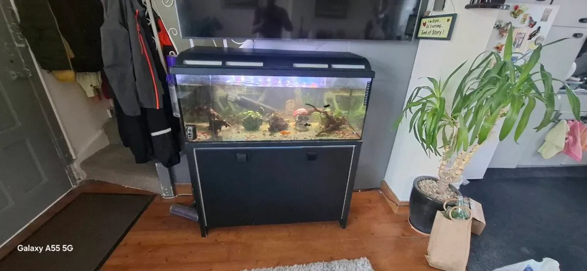 Aquarium - Image 2