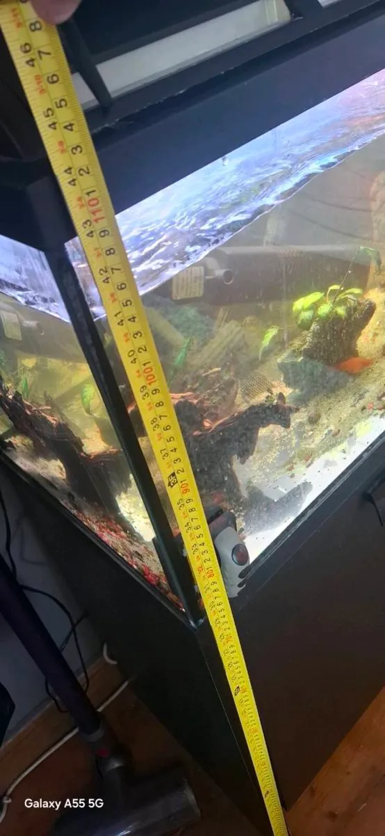 Aquarium - Image 3