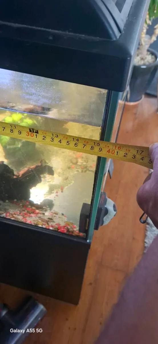 Aquarium - Image 4