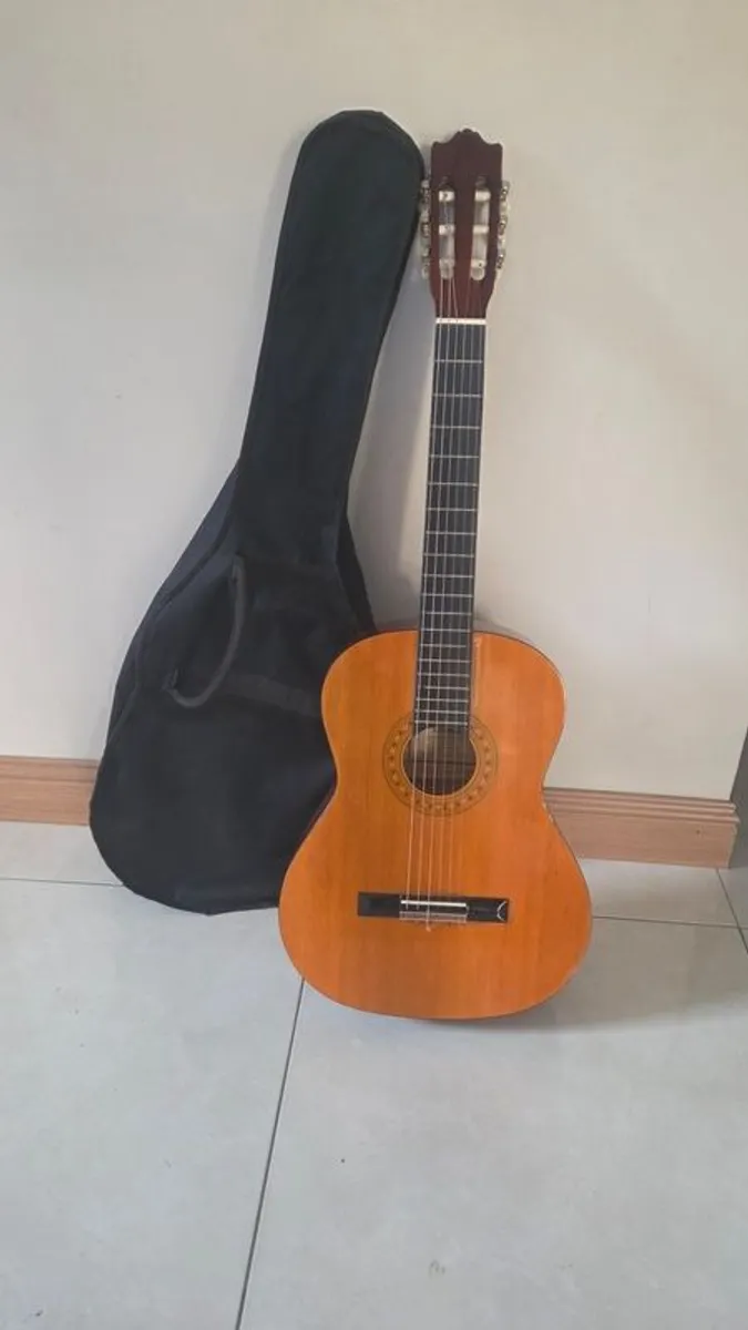 guitar - Image 1